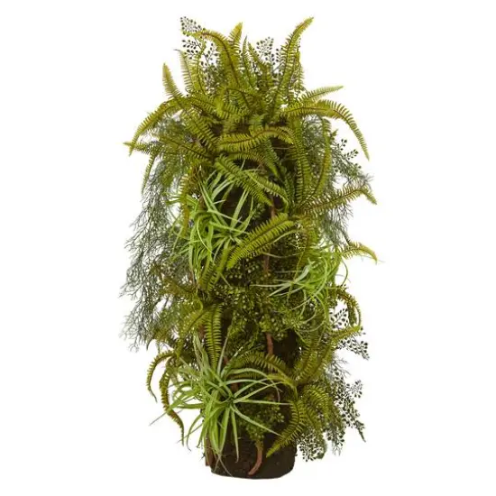 3.5ft. Mixed Forest Foliage Plant On Trunk {1}