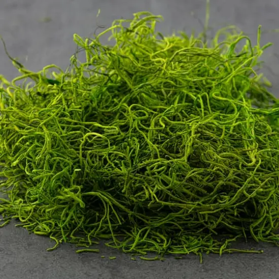 SuperMoss&reg; Preserved Spanish Moss, Grass Green {6}