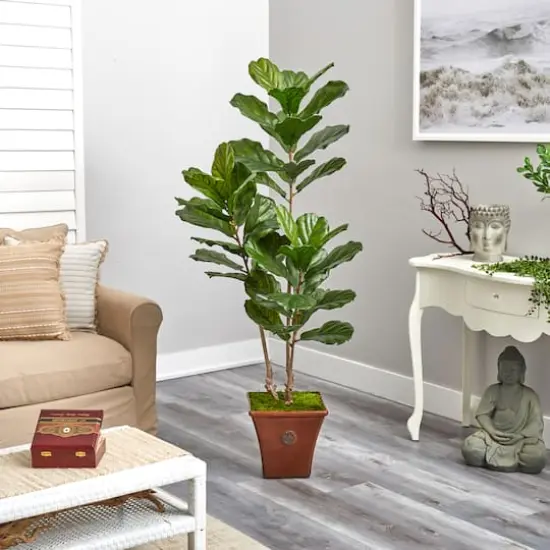 5.5ft. Fiddle Leaf Artificial Tree in Brown Planter UV Resistant (Indoor/Outdoor) {5}
