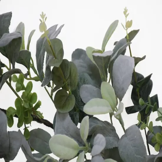 6ft. Green Lambs Ear Garland {3}