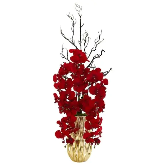 3ft. Red Moth Orchid Arrangement in Gold Vase {1}