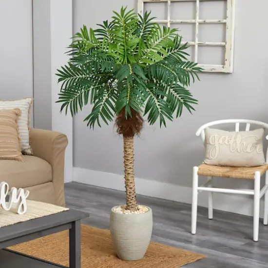 5.5ft. Robellini Palm Tree in Sandstone Planter {3}