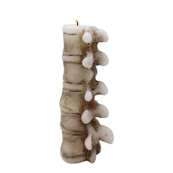 8" Spine Shaped Candle by Ashland&reg; {3}