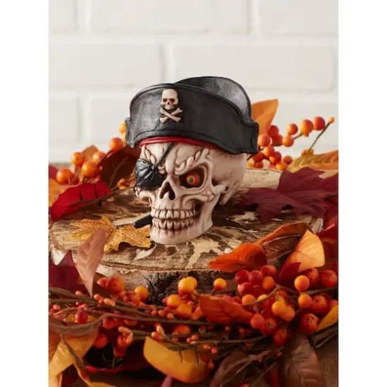 Dragon Crest Grinning Pirate Skull D&eacute;cor {4}