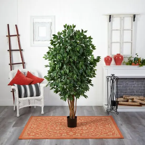 5.5ft. Potted Ficus Tree {6}