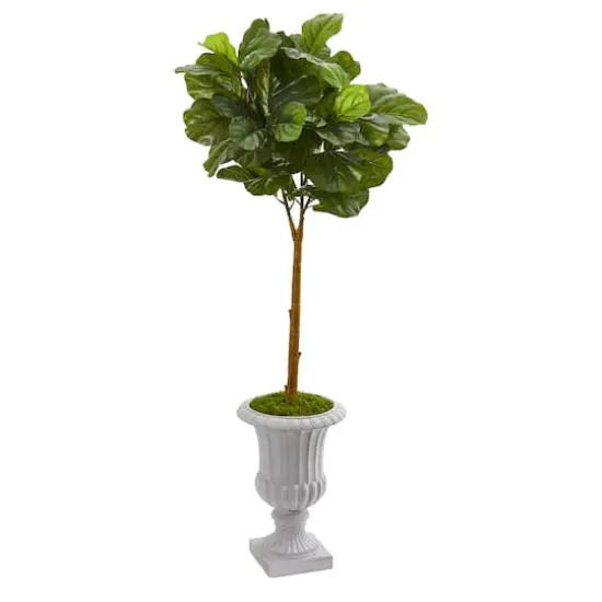 4ft. Fiddle Leaf Tree in Decorative Urn {1}