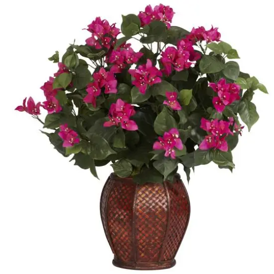 2ft. Pink Bougainvillea with Woven Vase {1}