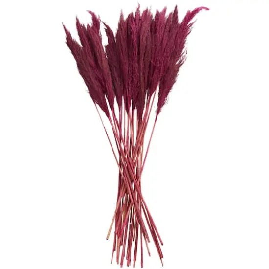 Dried Plant Bamboo Natural Foliage with Long Stems Pink {1}