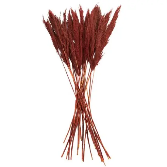 Dried Plant Bamboo Natural Foliage with Long Stems Red {7}