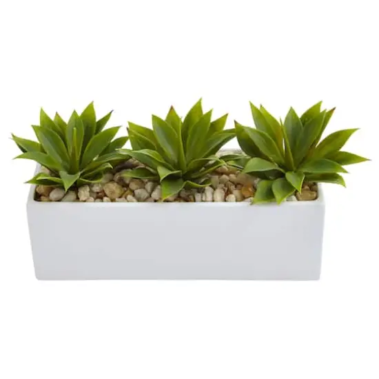 13" Agave Succulent in White Rectangular Planter {3}