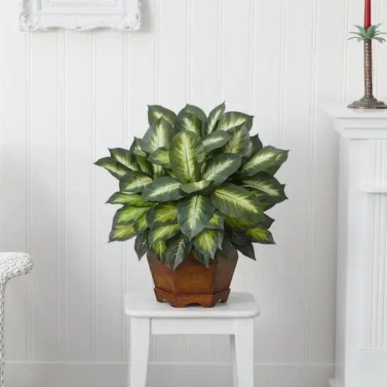 24" Golden Dieffenbachia Plant in Decorative Pot {5}