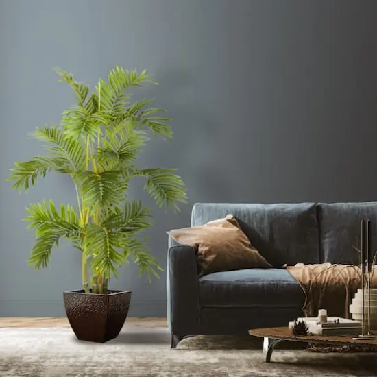 4ft. Potted Areca Palm Tree {3}