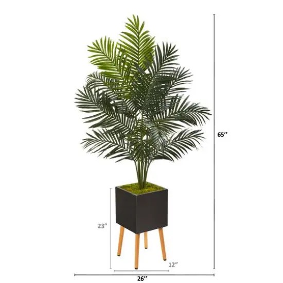 5.5ft. Paradise Palm Tree in Black Planter with Stand {3}