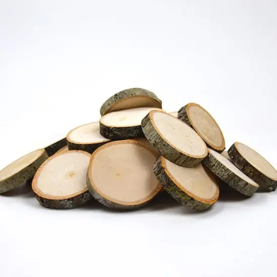 Wilson&reg; Enterprises 30 Pack Small Basswood Ornament {3}