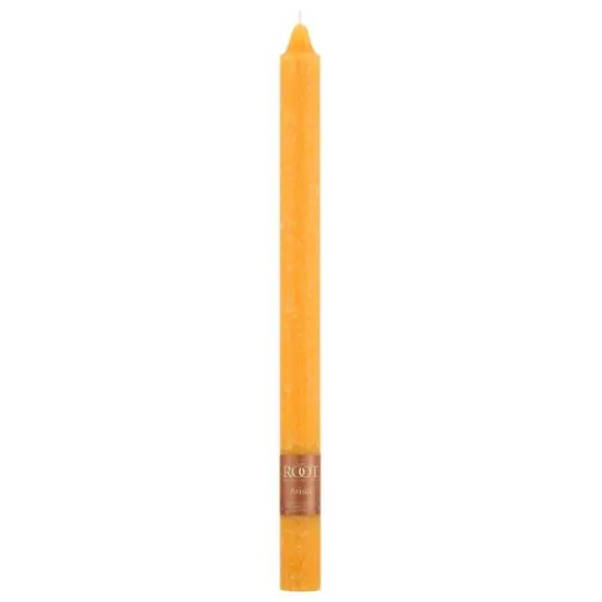 Root Candles 12" Unscented Timberline&trade; Arista&trade; Taper Candles, 12ct. Butterscotch {4}