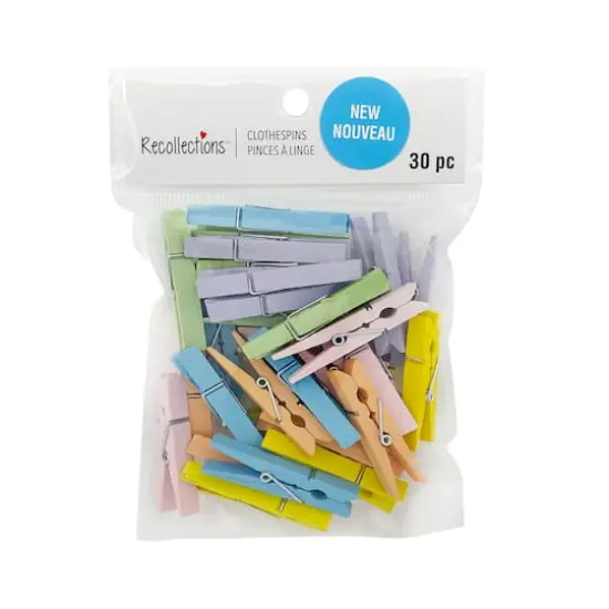 Medium Pastel Clothespins by Recollections&trade; {6}
