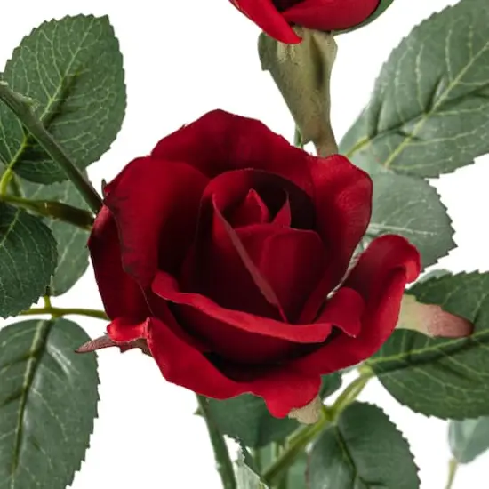 Sweetheart Rose Spray by Ashland&reg; Dark Red {3}