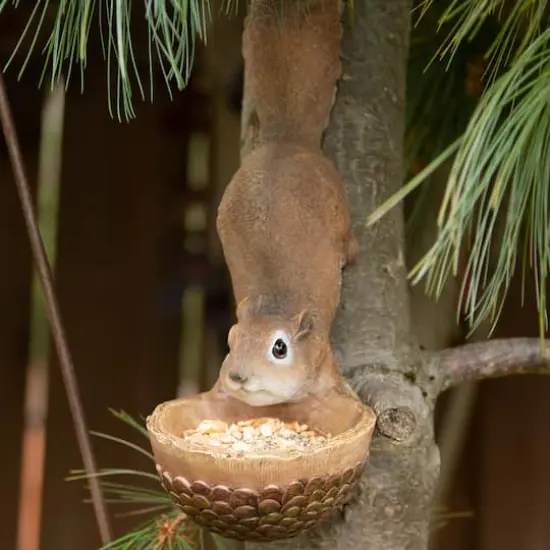 13" Scurrying Squirrel Bird Feeder {4}