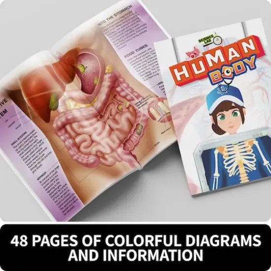 SpiceBox&trade; Science Lab Human Body Kit {3}