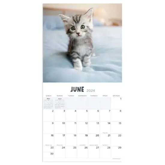 TF Publishing 2024 Kittens Mini Calendar {4}