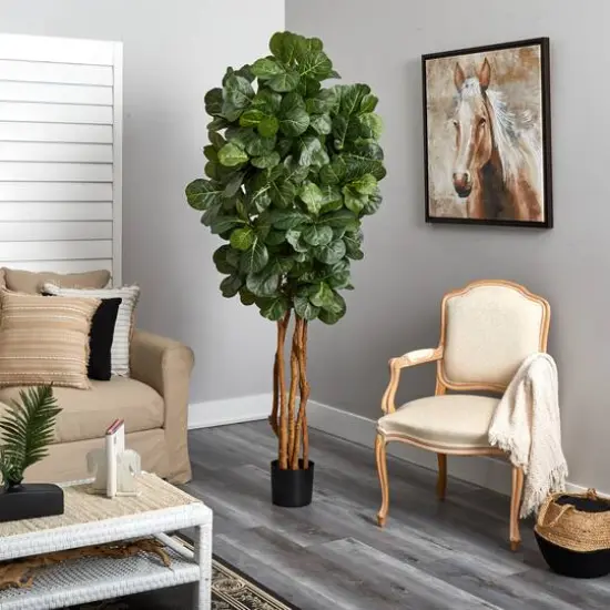 7ft. Potted Fiddle Leaf Fig Tree {7}