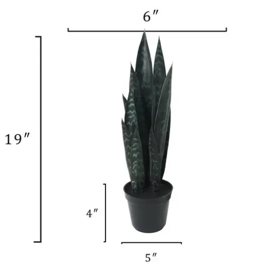 19" Potted Snake Plant by Ashland&reg; {4}