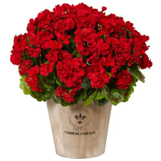 22" Red Geranium in Farmhouse Style Planter {1}