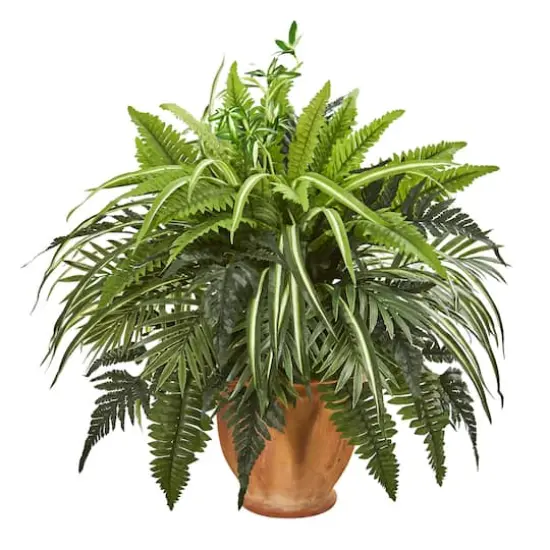 23" Mixed Leaf & Fern Plant in Terra Cotta Planter {1}
