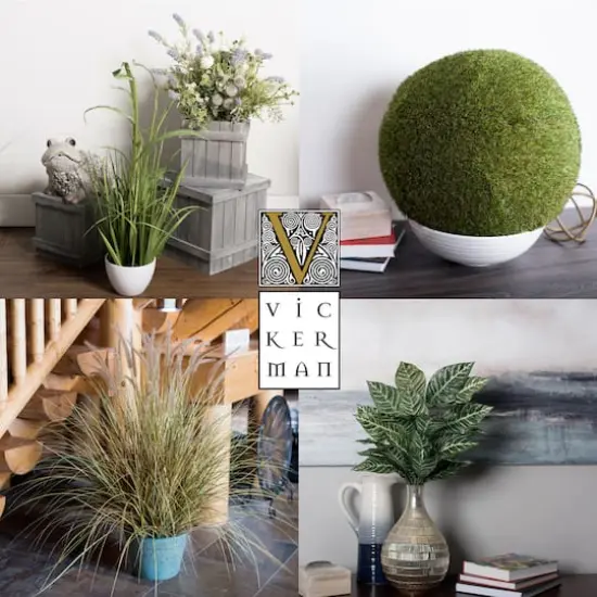 2.5ft. Green Hanging Mini Leaf Eucalyptus Bushes, 2ct. {5}