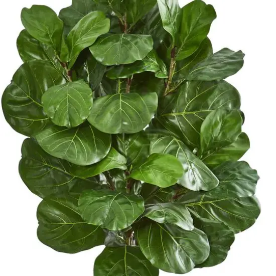 6.5ft. Green Fiddle Leaf Tree in Farmhouse Planter {3}