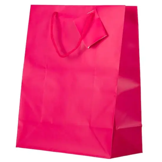 JAM Paper Large Matte Gift Bag, 3ct. Hot Pink {5}