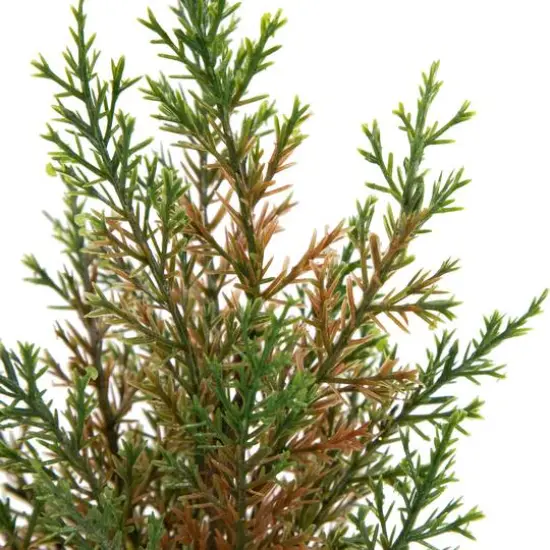 10" Unlit Cedar Artificial Christmas Tree Set {6}