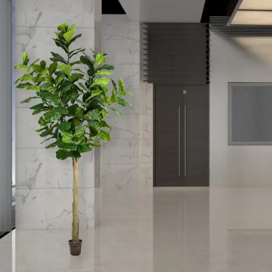 10ft. Potted Fiddle Tree {3}