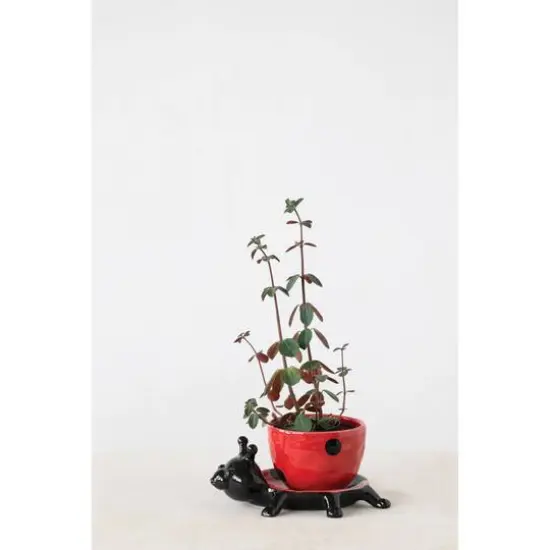 Hello Honey&reg; 3" Stoneware Ladybug Planter {7}