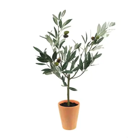 22" Potted Olive Tree Topiary {1}