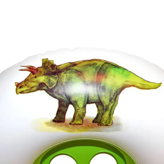 Rae Dunn Rawrsome Toddler Float with Canopy {7}