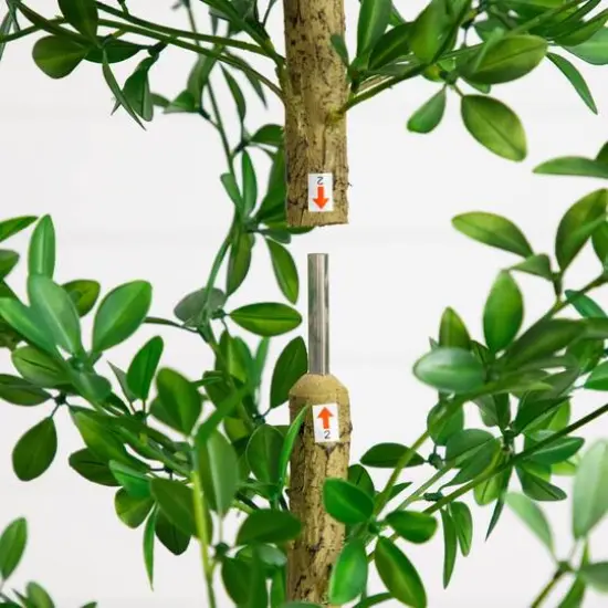 6ft. Artificial Shady Lady Black Olive Tree {7}