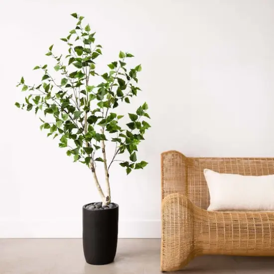 5ft. Potted Green Artificial Birch Tree with Real Touch Leaves {3}