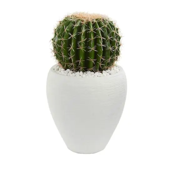 20" Cactus in White Planter {1}