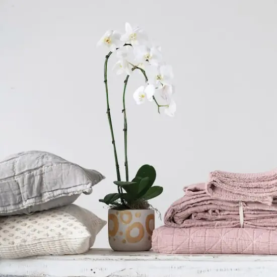 Hello Honey&reg; 6.5" White & Gold Hand-Painted Stoneware Planter {4}