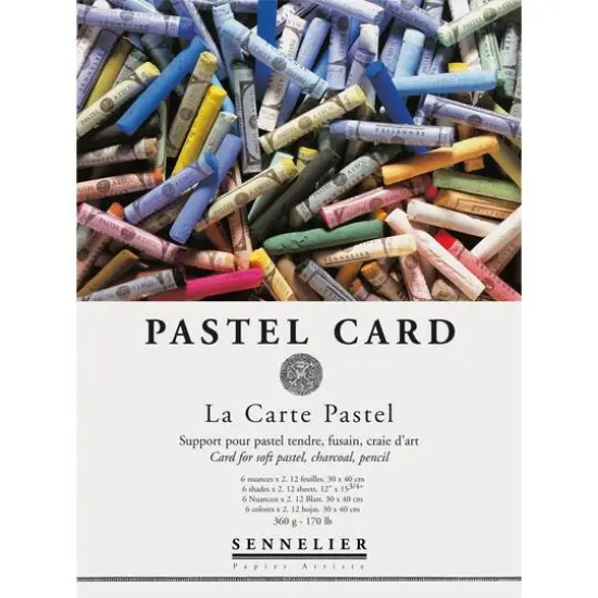 Sennelier La Carte Assorted Colors Pastel Pad {1}