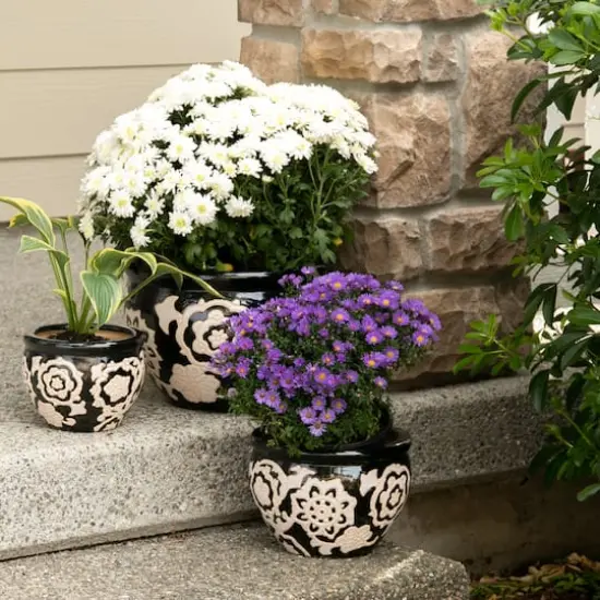 Floral Nights Ceramic Planter Set {6}