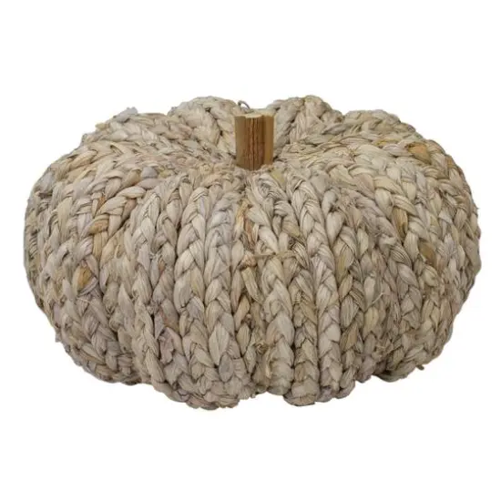 9.5" Beige Weaved Autumn Harvest Tabletop Pumpkin {1}