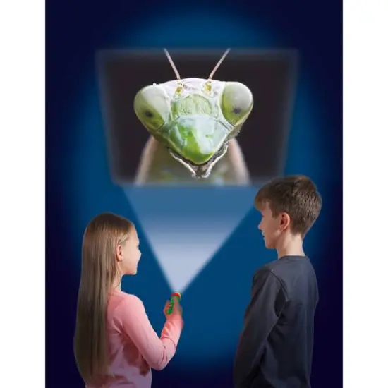 Brainstorm Toys Natural History Museum Creepy Crawly Torch & Projector {5}