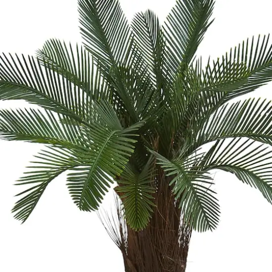 5ft. Potted UV Resistant Cycas Tree {4}