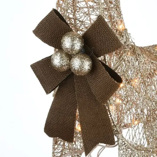 Crystal Splendor Champagne Doe and Fawn with 105 LED Mini Lights {5}