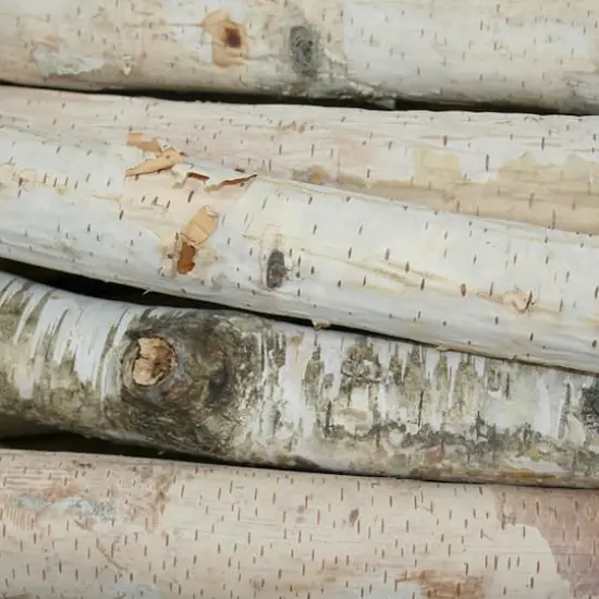 Wilson&reg; Enterprises Birch Logs Set, 12ct. {3}