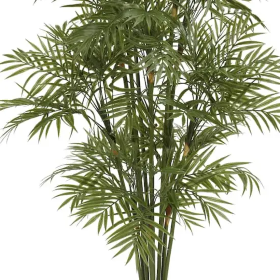 4ft. Potted Parlour Palm Tree {4}