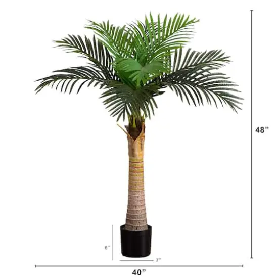 4ft. Potted Coconut Palm Tree {5}