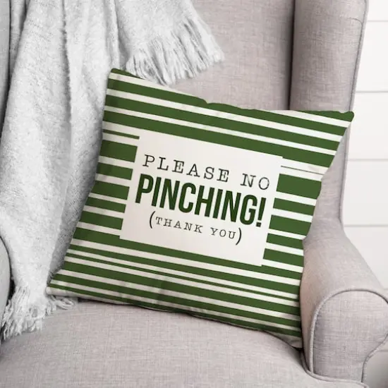 Please No Pinching 3 18" x 18" Throw Pillow {4}